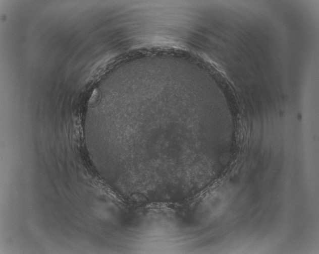 X0000065980918200603101418