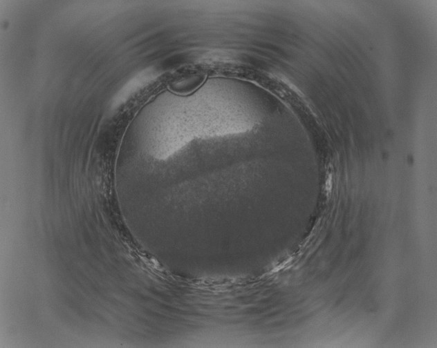 X0000065980919200603101418