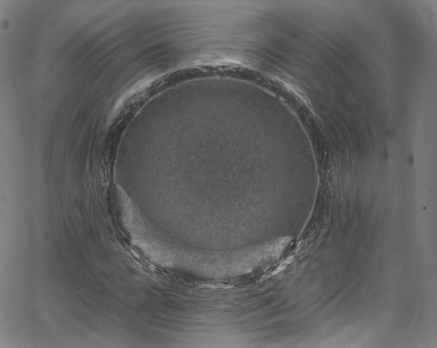 X0000065980920200603101418