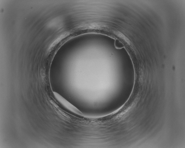 X0000065980922200603101418