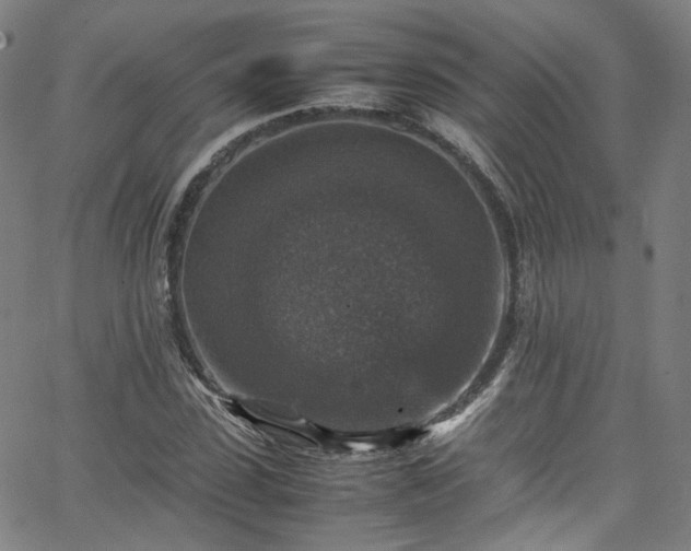 X0000065980923200603101418