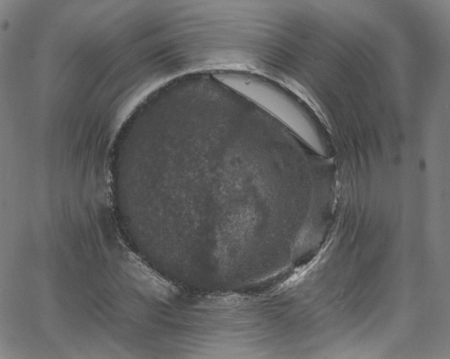 X0000065980926200603101418