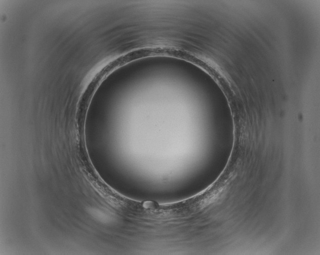 X0000065980927200603101418