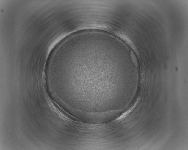 X0000065980928200603101418