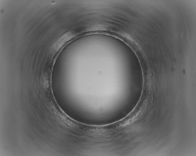 X0000065980929200603101418