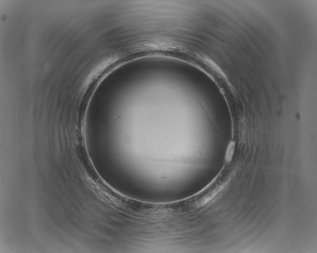 X0000065980930200603101418