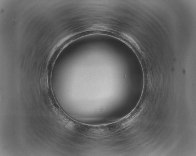 X0000065980931200603101418