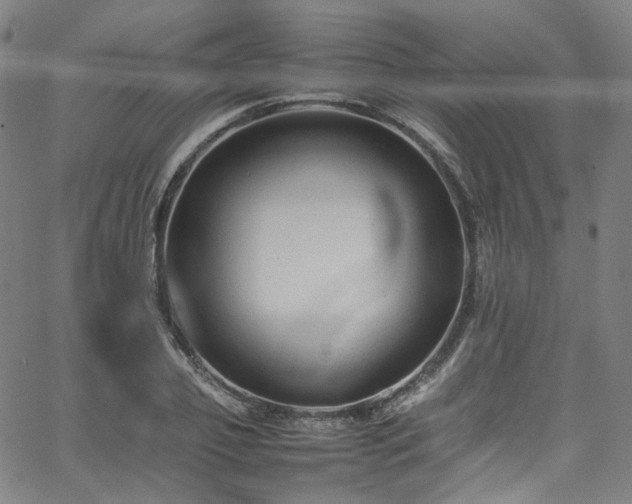 X0000065980933200603101418