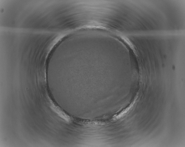 X0000065980934200603101419