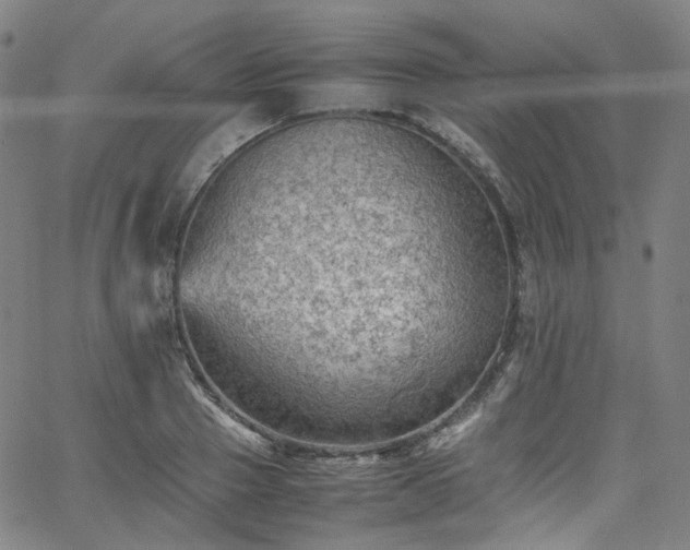 X0000065980937200603101419