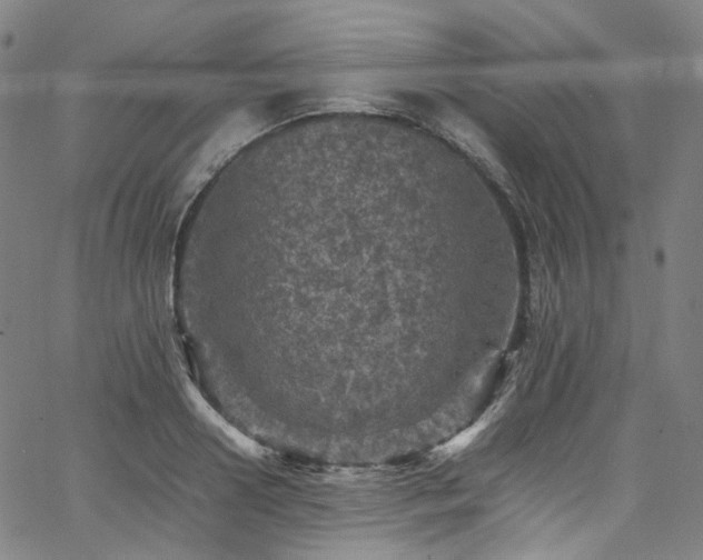 X0000065980938200603101419