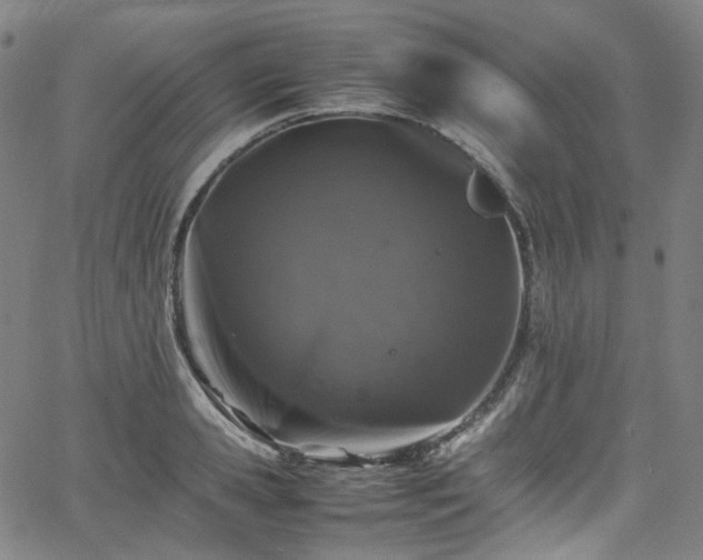 X0000065980941200603101419