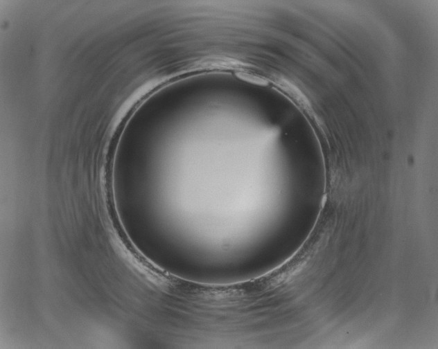 X0000065980947200603101419