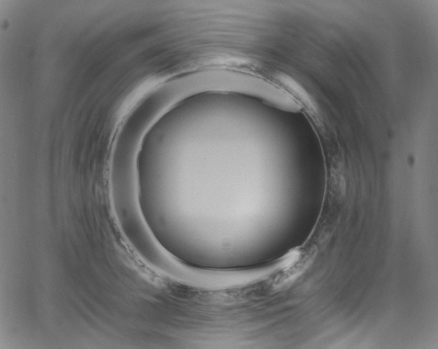 X0000065980948200603101419