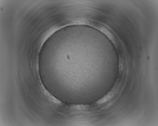 X0000065980950200603101419