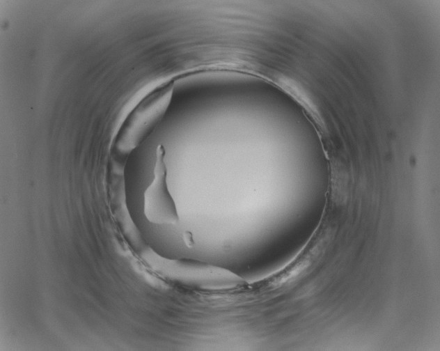 X0000065980956200603101419