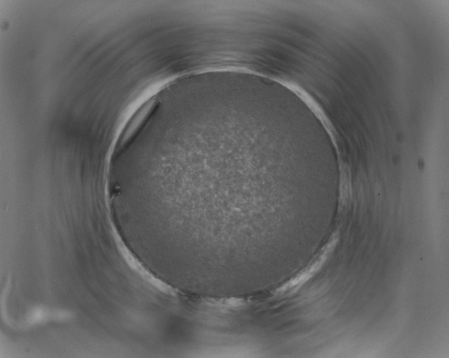 X0000065980957200603101419