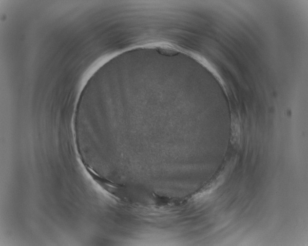 X0000065980959200603101419