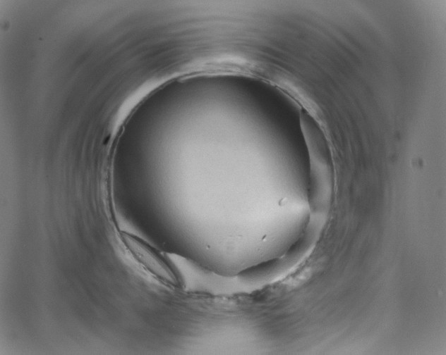 X0000065980960200603101419