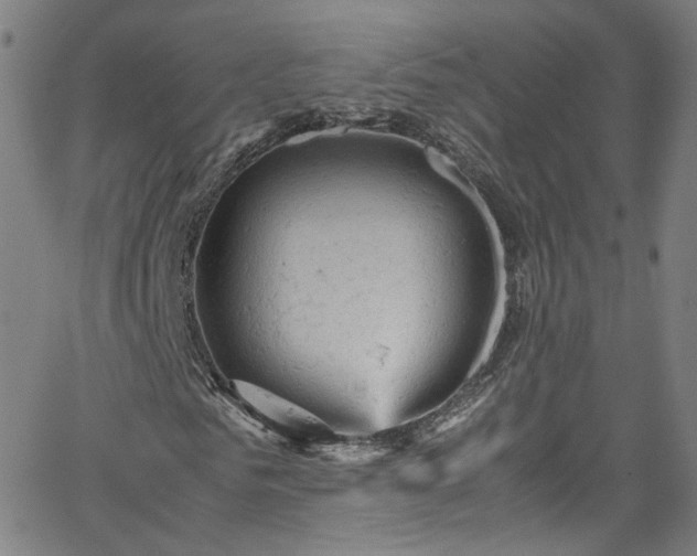 X0000065980961200603101418