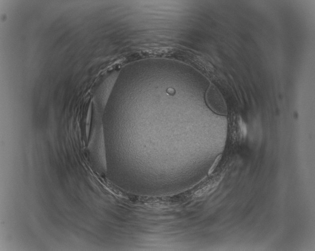 X0000065980962200603101418