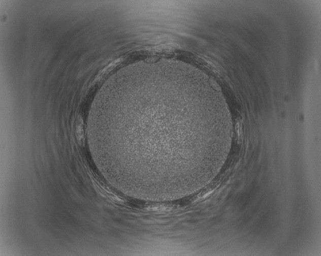 X0000065980963200603101418