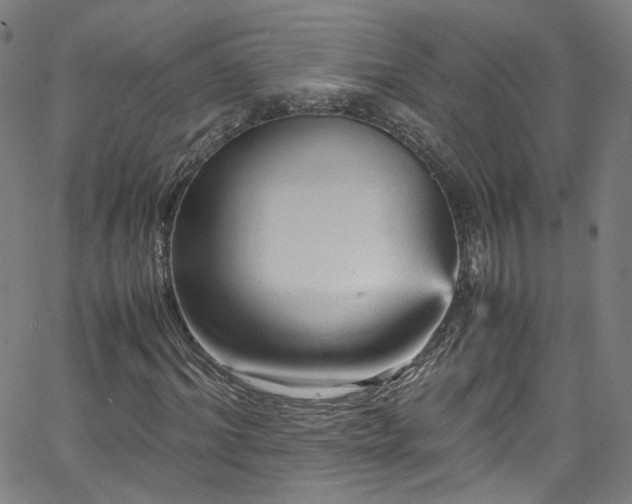 X0000065980964200603101418