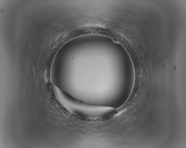 X0000065980965200603101418