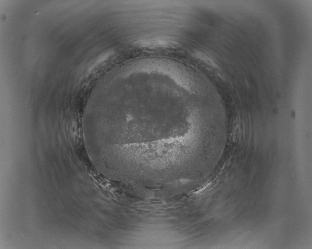 X0000065980966200603101418