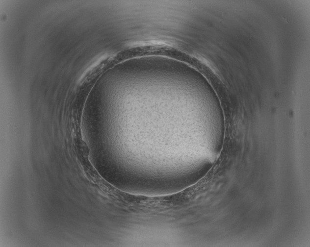 X0000065980967200603101418