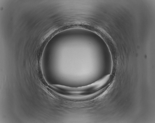 X0000065980969200603101418