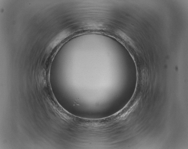 X0000065980970200603101418