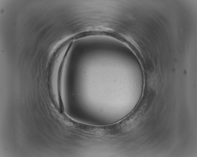 X0000065980971200603101418