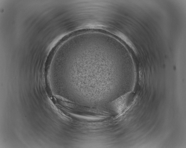 X0000065980972200603101418