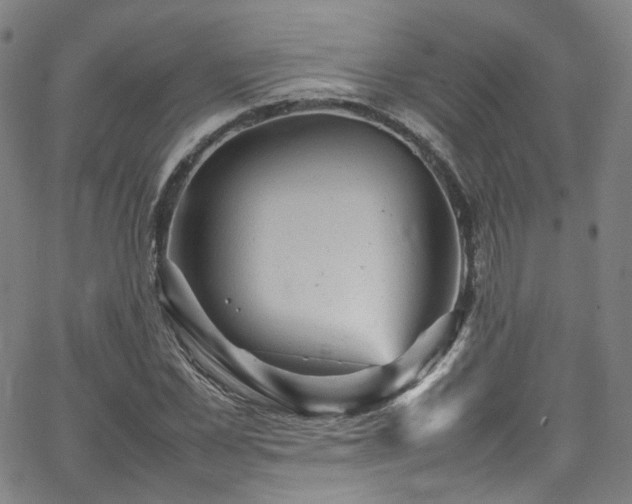 X0000065980973200603101418