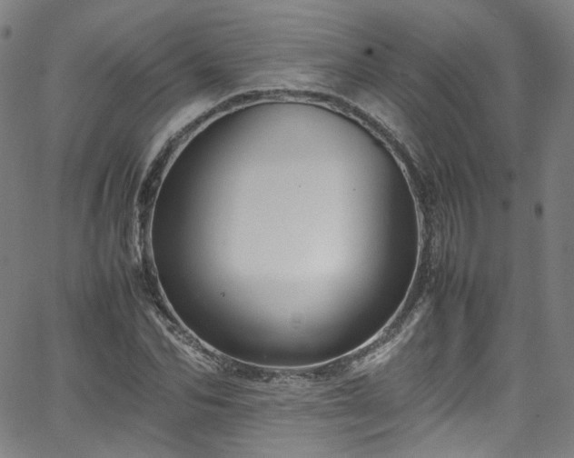 X0000065980974200603101418