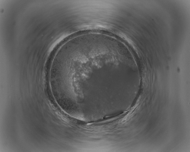 X0000065980975200603101418