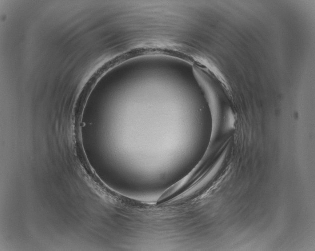 X0000065980976200603101418