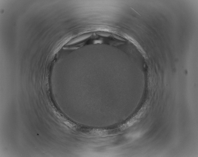 X0000065980977200603101418