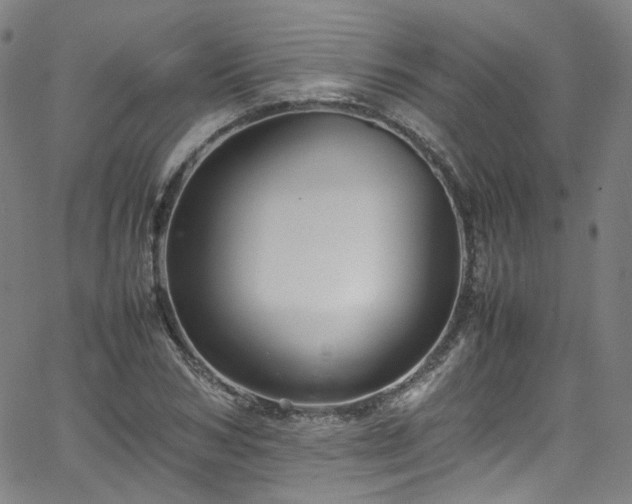 X0000065980978200603101418