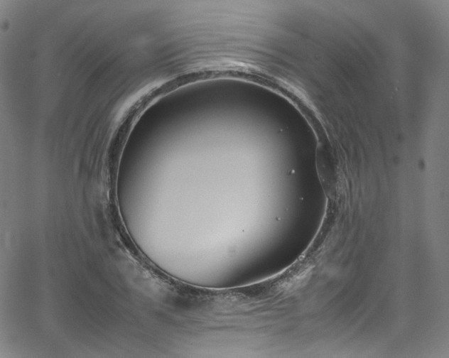 X0000065980979200603101418