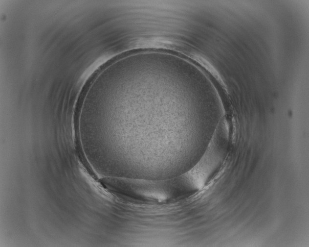 X0000065980980200603101418