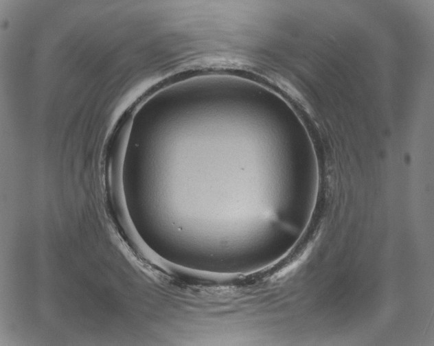 X0000065980981200603101418