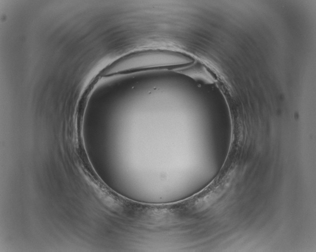 X0000065980982200603101418