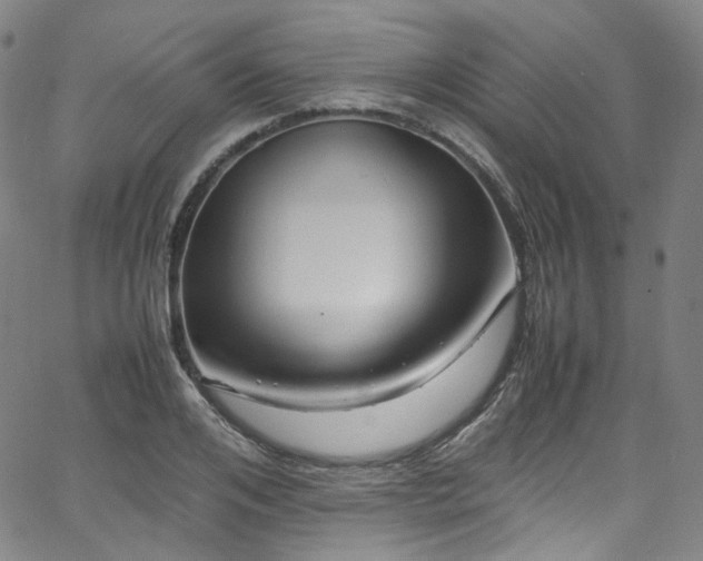 X0000065980984200603101418