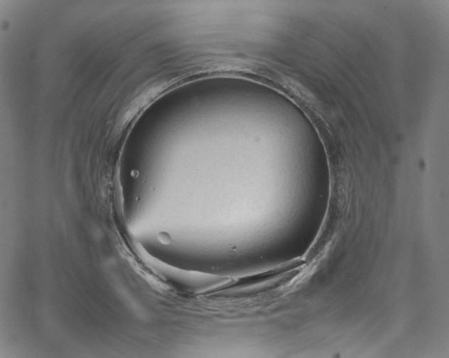 X0000065980985200603101418