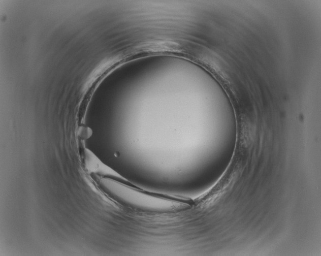 X0000065980986200603101418