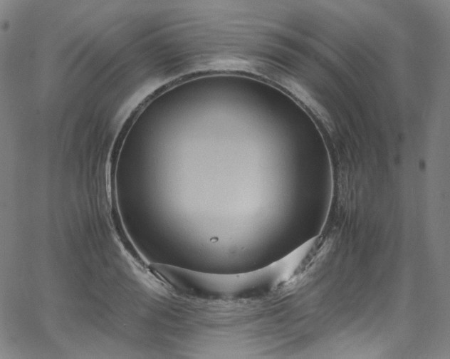 X0000065980988200603101418