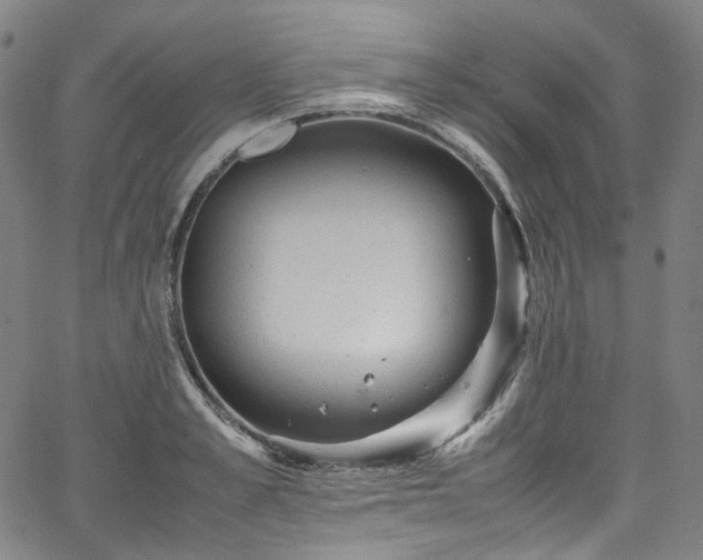 X0000065980989200603101418