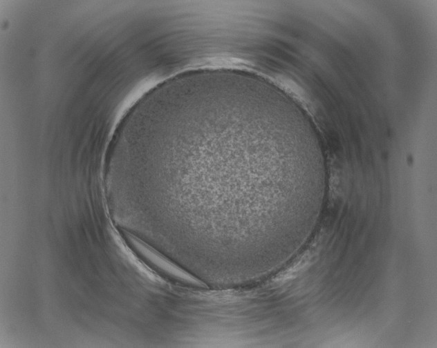 X0000065980990200603101418